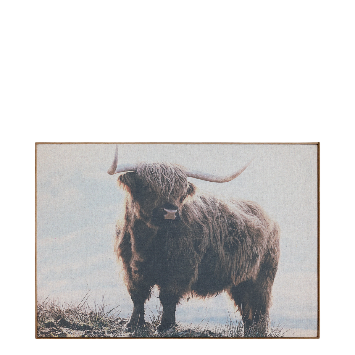 Picture w. bull & nature frame H53/L77/W2 cm nature