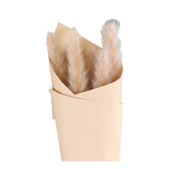 Fleur dried Pampas Grass H77 cm nature in brown paper