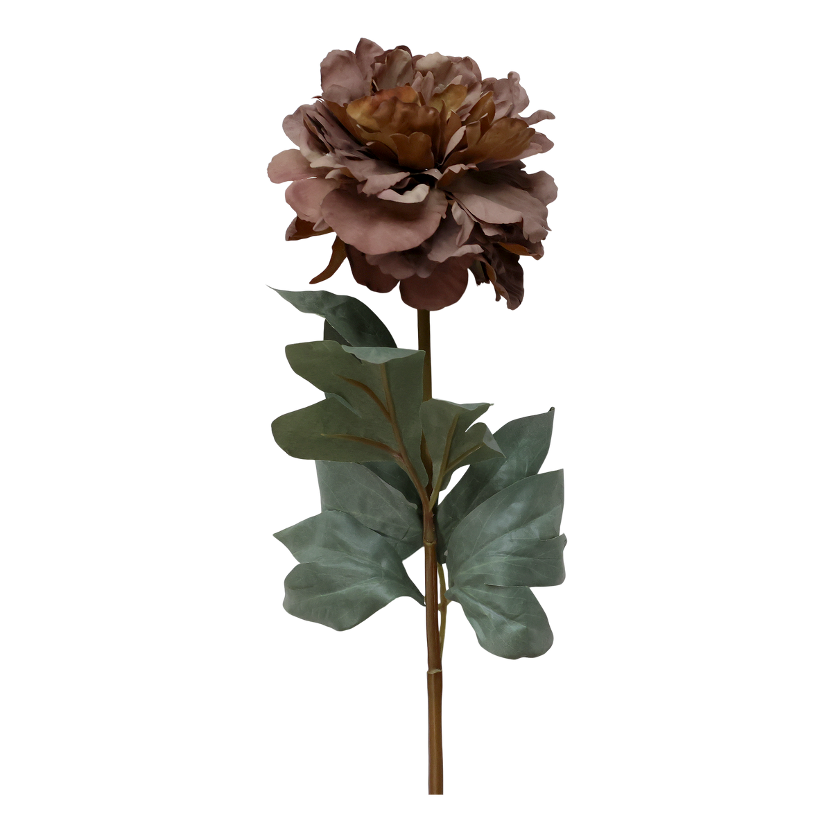 Fleur Peony H77 cm mocca