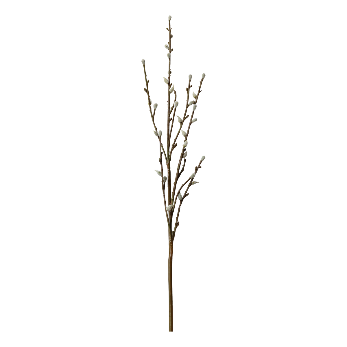 Fleur Willow Branch H110 cm cream