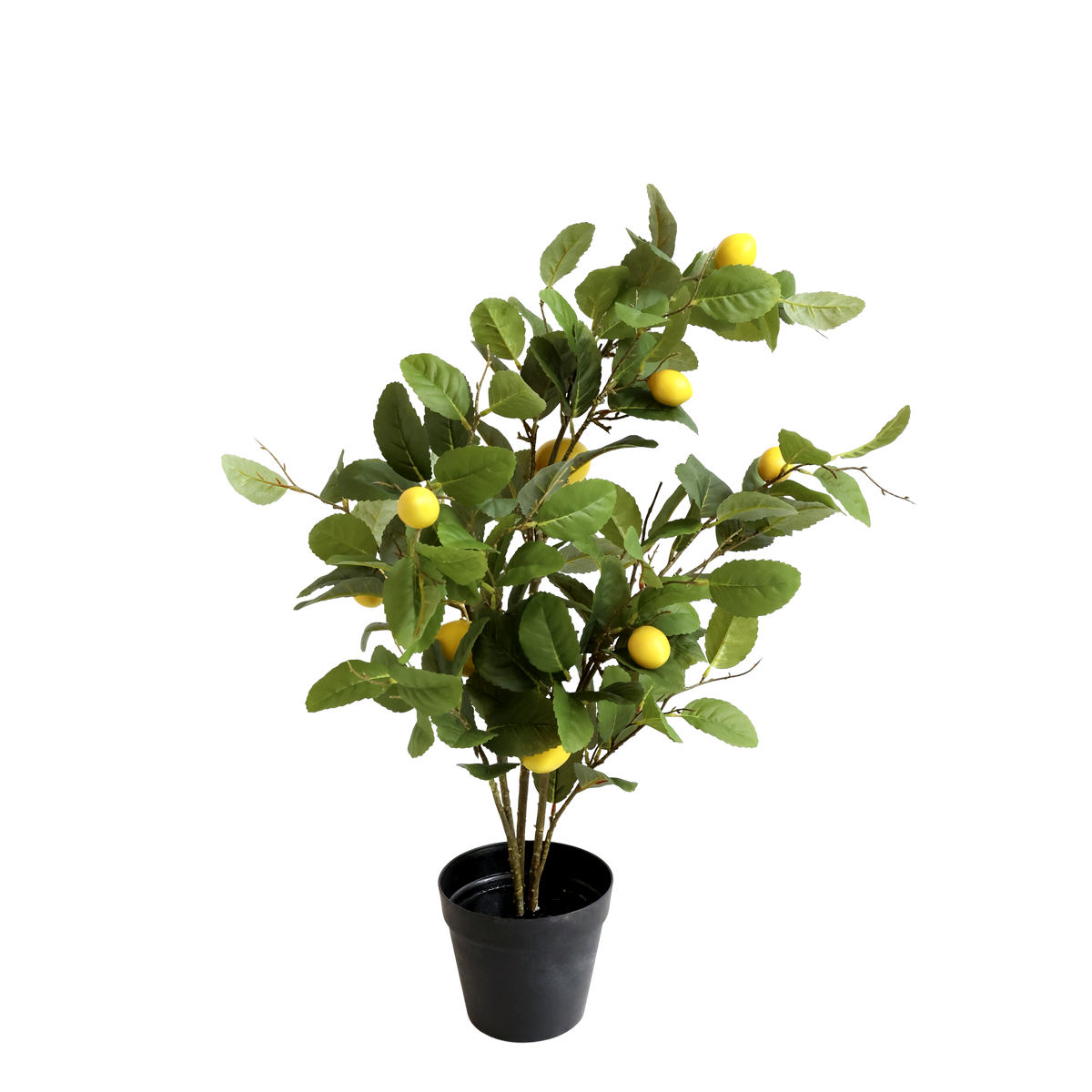 Fleur Lemon Tree H80/L50/W35 cm nature