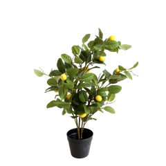 Fleur Lemon Tree H80/L50/W35 cm nature