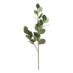 Fleur Eucalyptus branch H90 cm nature