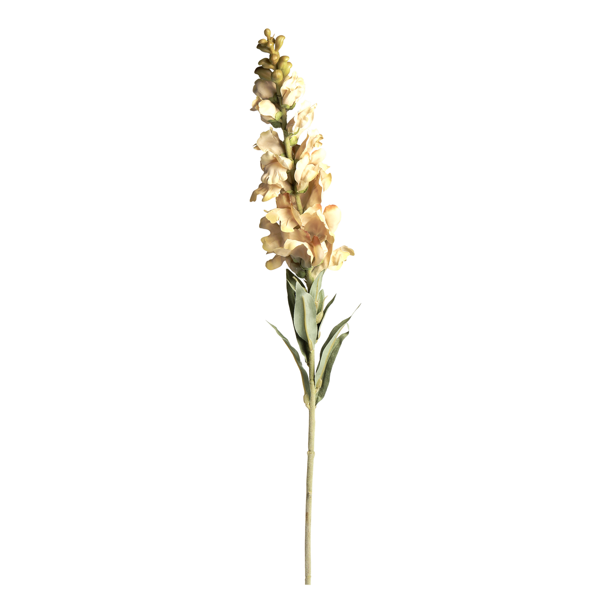 Fleur Snapdragon H92 cm cream