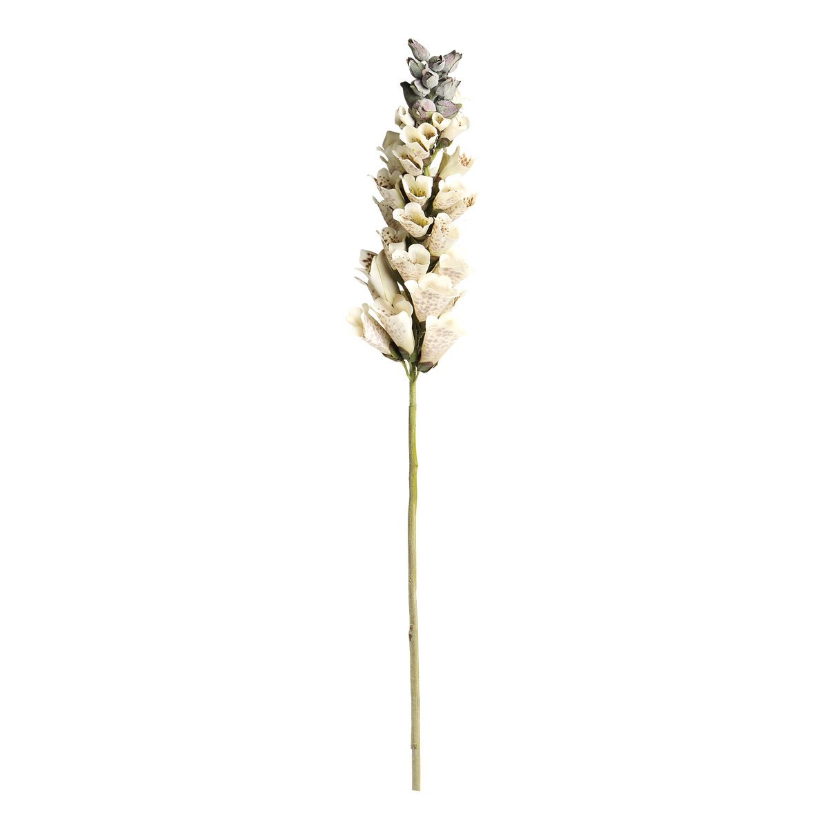 Fleur Foxglove H80 cm white