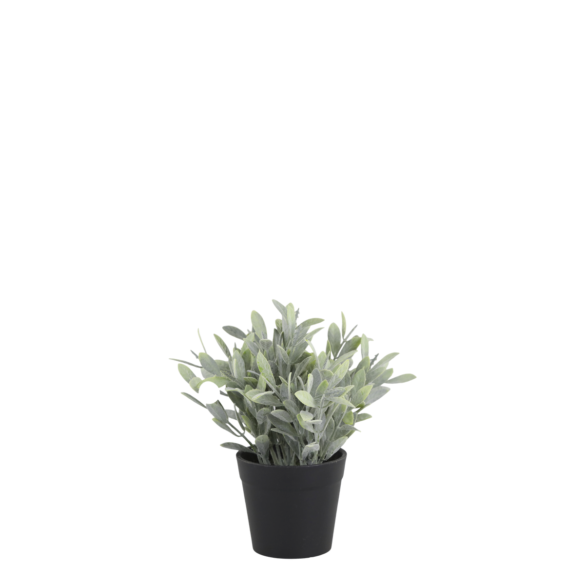 Fleur Plant H18/D8 cm green