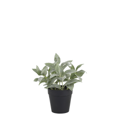 Fleur Plant H23/D10 cm green