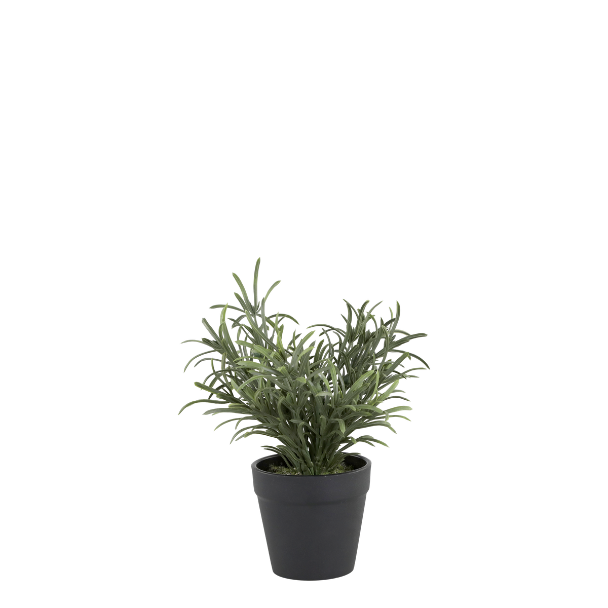 Fleur Plant H25/D9 cm green