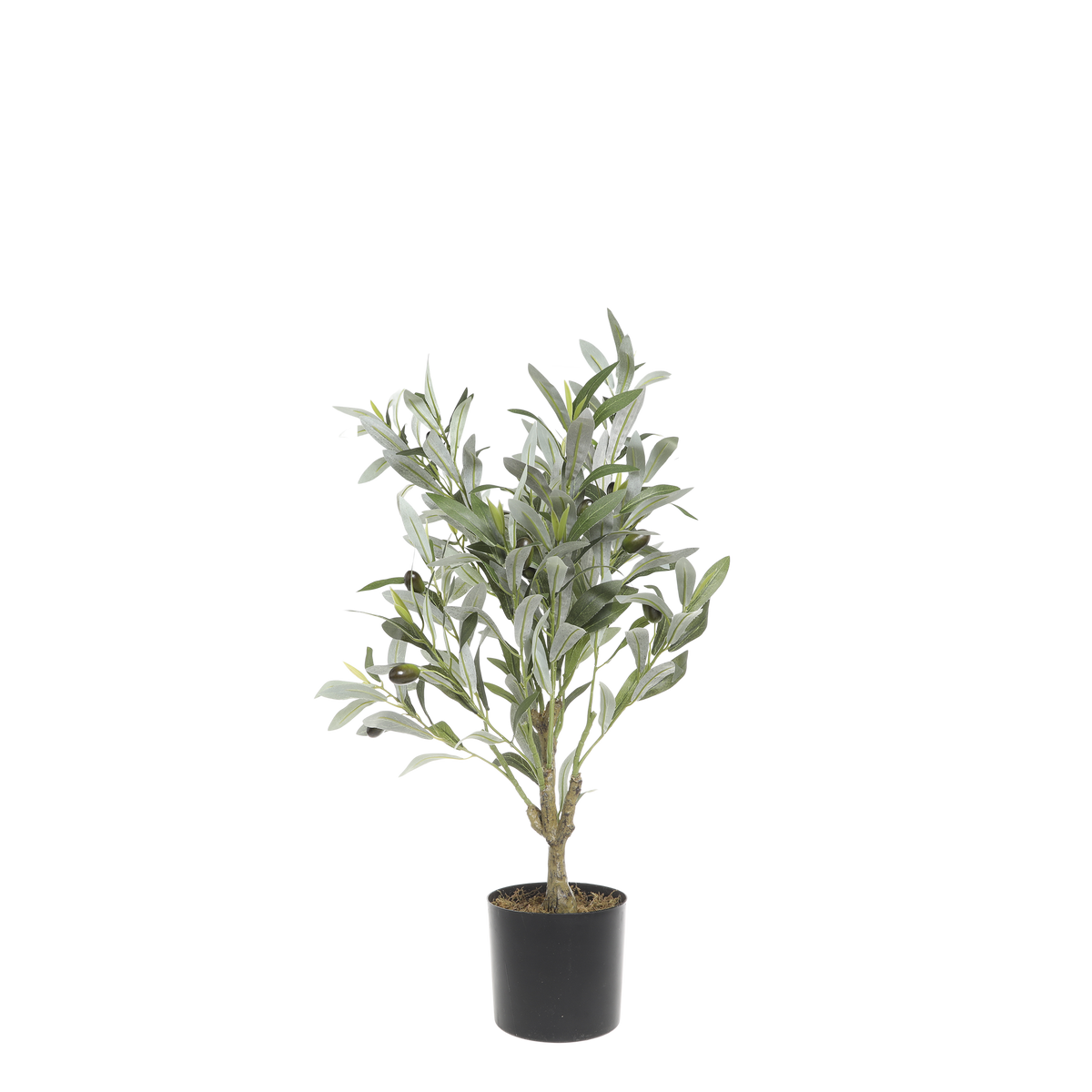 Fleur Olive Tree H73/D12 cm green