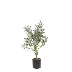 Fleur Olive Tree H73/D12 cm green