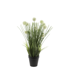 Fleur Chive H47/D25 cm green